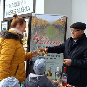 Bor-vár udvar