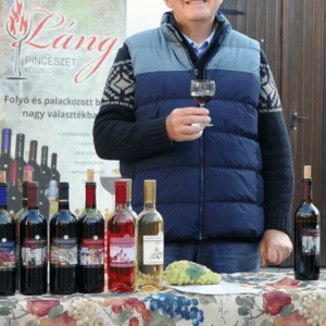 Bor-vár udvar